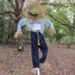 Sales at Scarecrow Trail at San Antonio Botanical Garden | San Antonio Charter Moms
