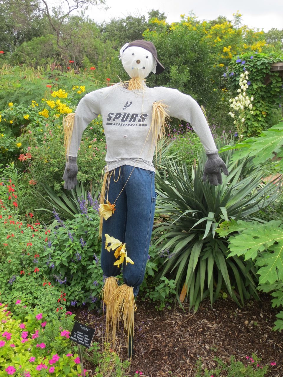 Timmy at Scarecrow Trail at San Antonio Botanical Garden | San Antonio Charter Moms
