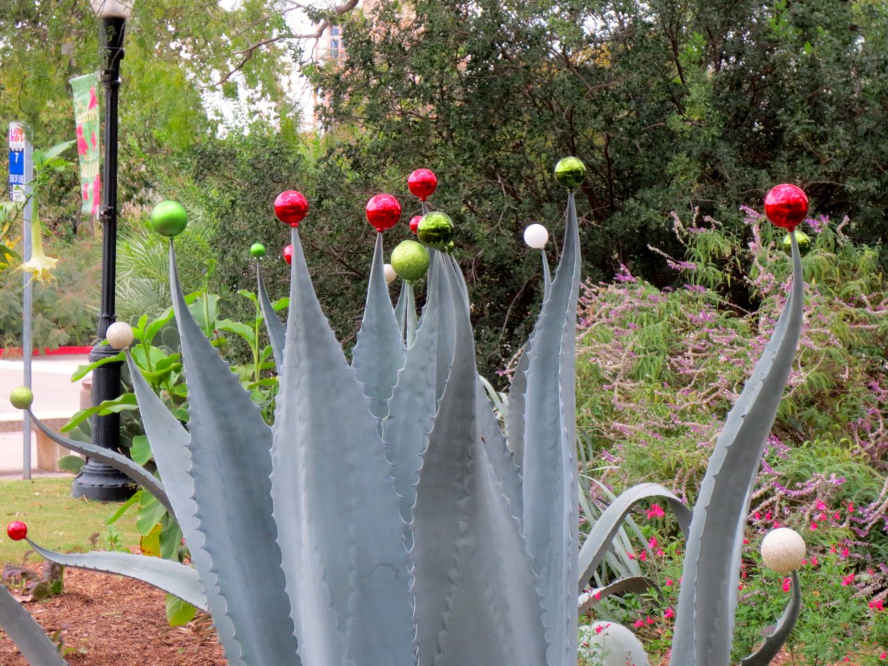 Agave - Holidays in Bloom at the San Antonio Botanical Garden | San Antonio Charter Moms