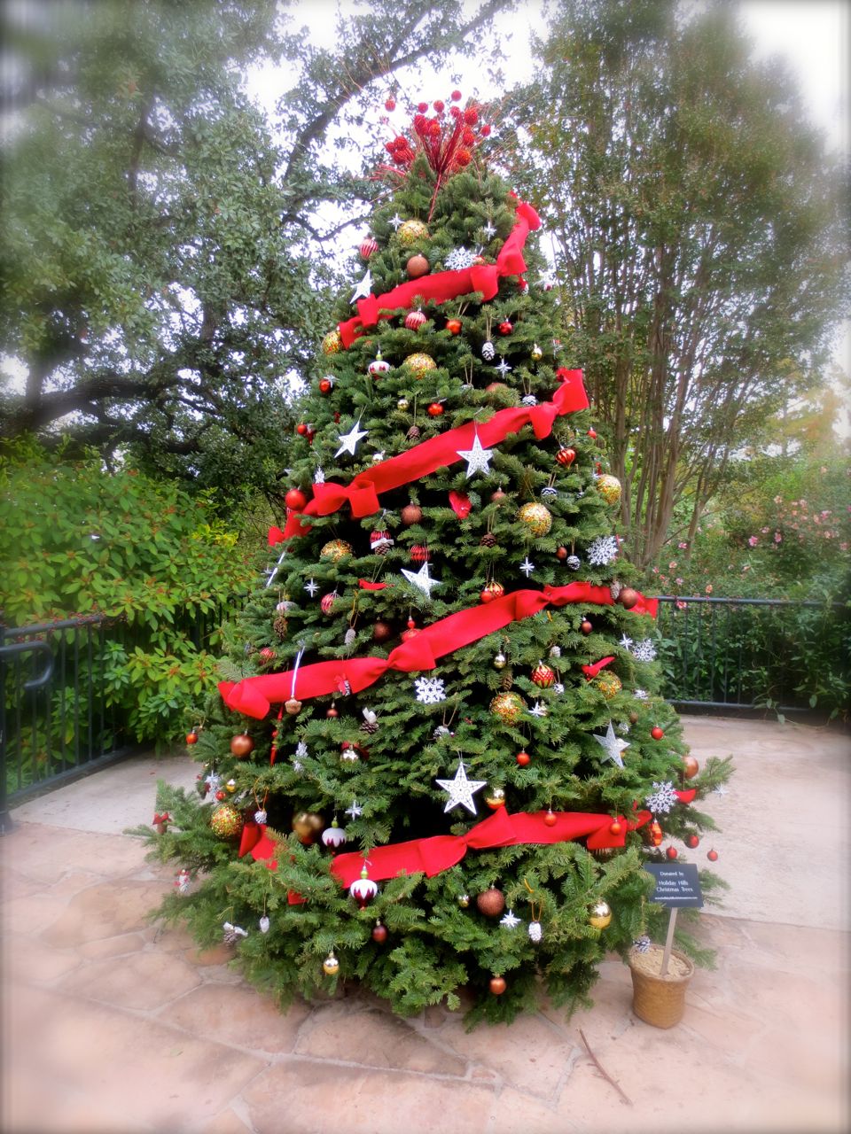Christmas Tree - Holidays in Bloom at the San Antonio Botanical Garden | San Antonio Charter Moms