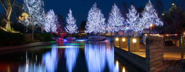 white christmas lights on trees reflected on water at san antonio riverwalk