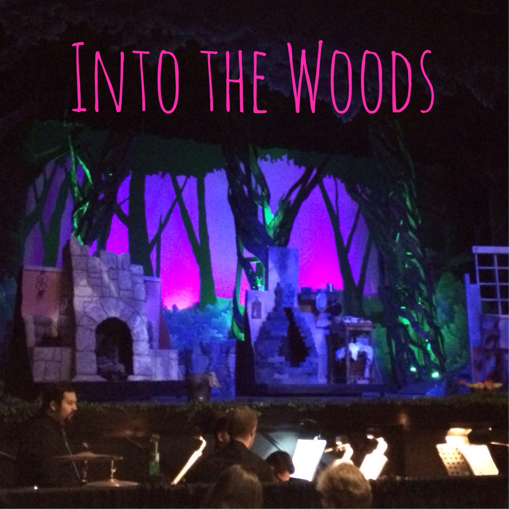 F.T. reviews "Into the Woods" at the Woodlawn Theatre | San Antonio Charter Moms