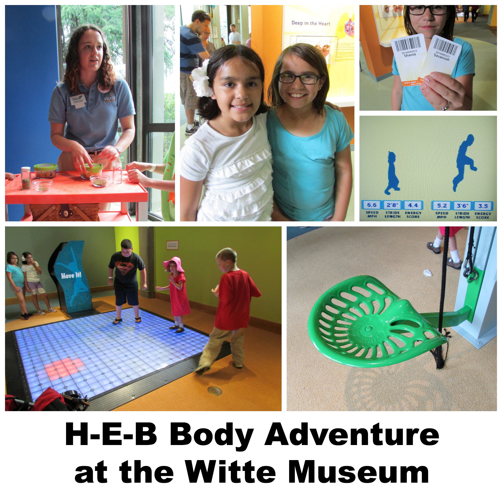 H-E-B Body Adventure at the Witte Museum | San Antonio Charter Moms