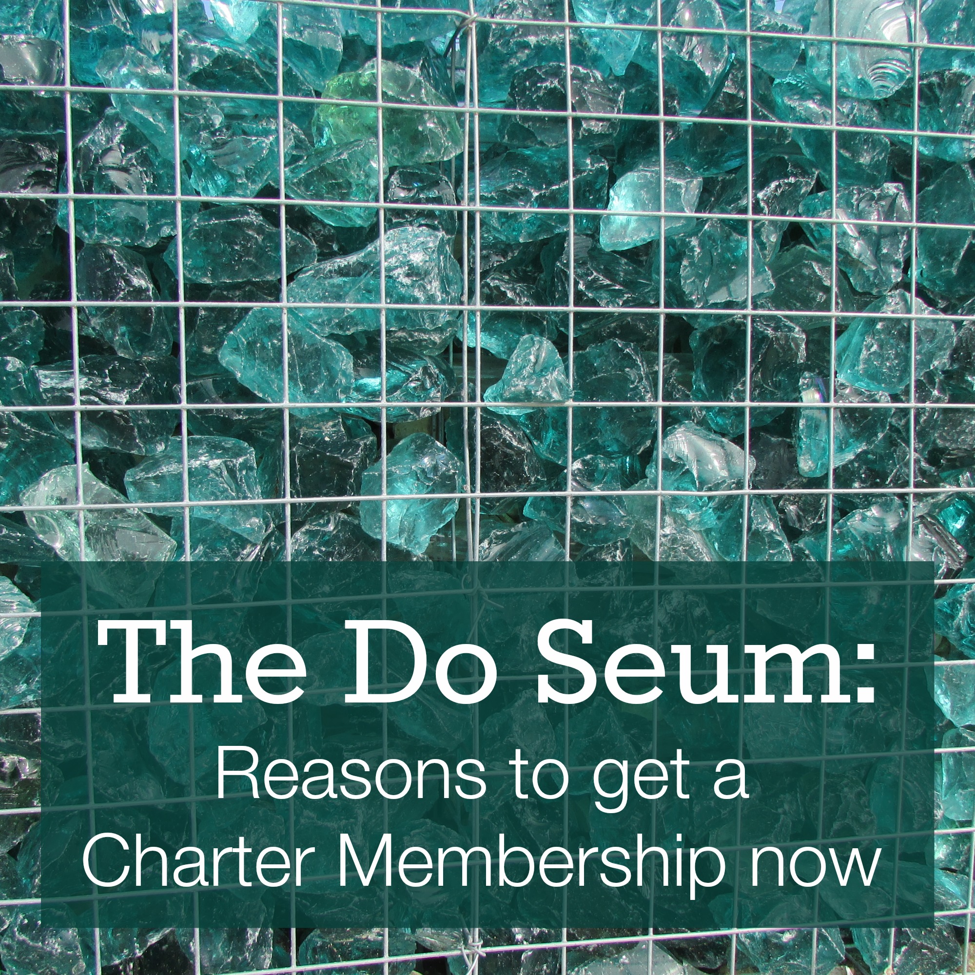 The Do Seum: Reasons to get a Charter Membership now