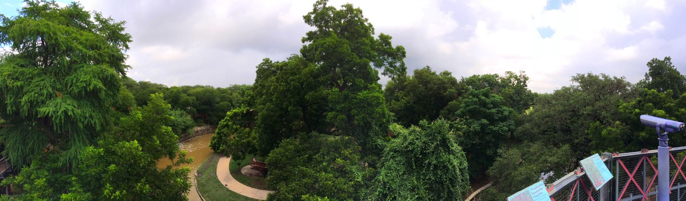 View of Brackenridge Park and the San Antonio River from the rooftop of the H-E-B Body Adventure at the Witte Museum | San Antonio Charter Moms