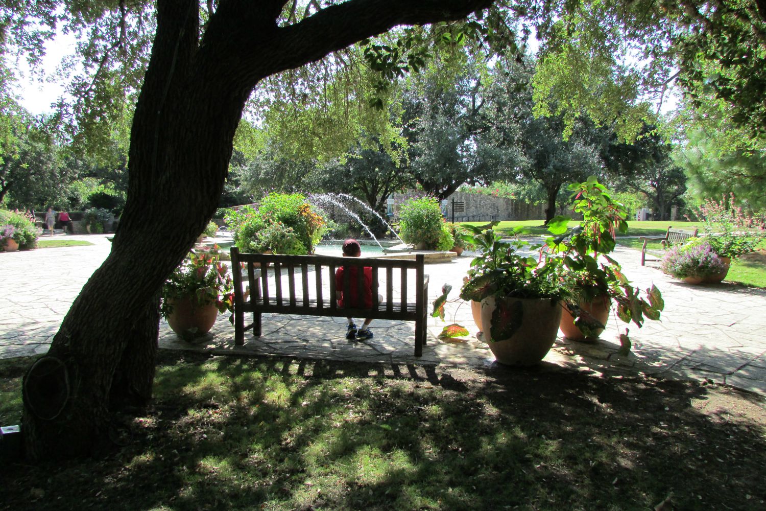 Sitting on a bench at the Fountain Plaza of the San Antonio Botanical Garden | San Antonio Charter Moms