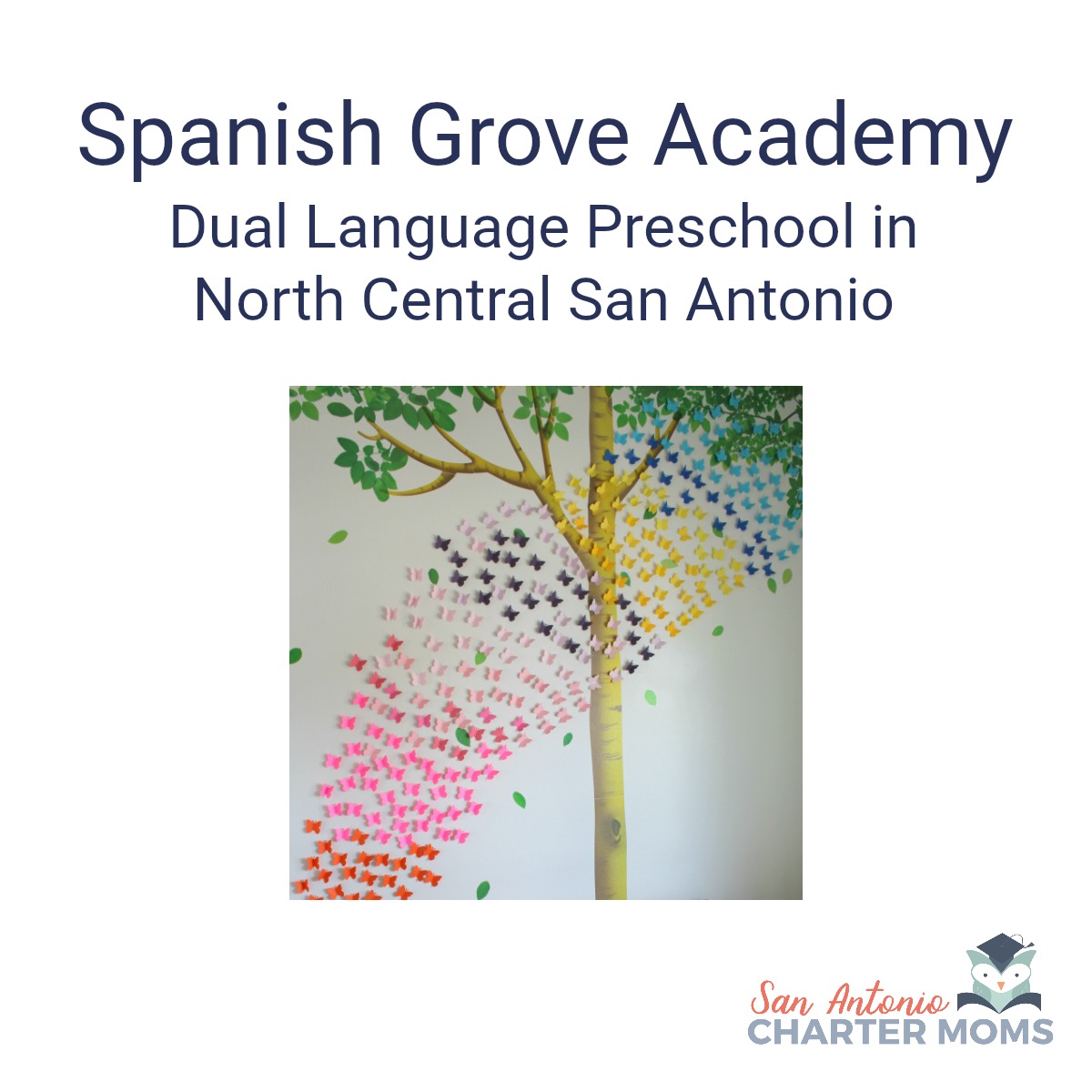 Spanish Grove Academy dual-language preschool in north central San Antonio | San Antonio Charter Moms