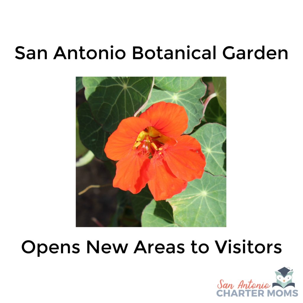San Antonio Botanical Garden Opens New Areas to Visitors | San Antonio Charter Moms
