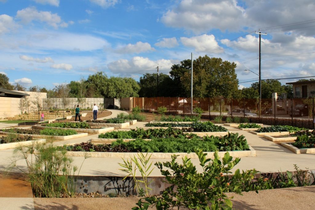 Culinary garden at the expanded San Antonio Botanical Garden | San Antonio Charter Moms