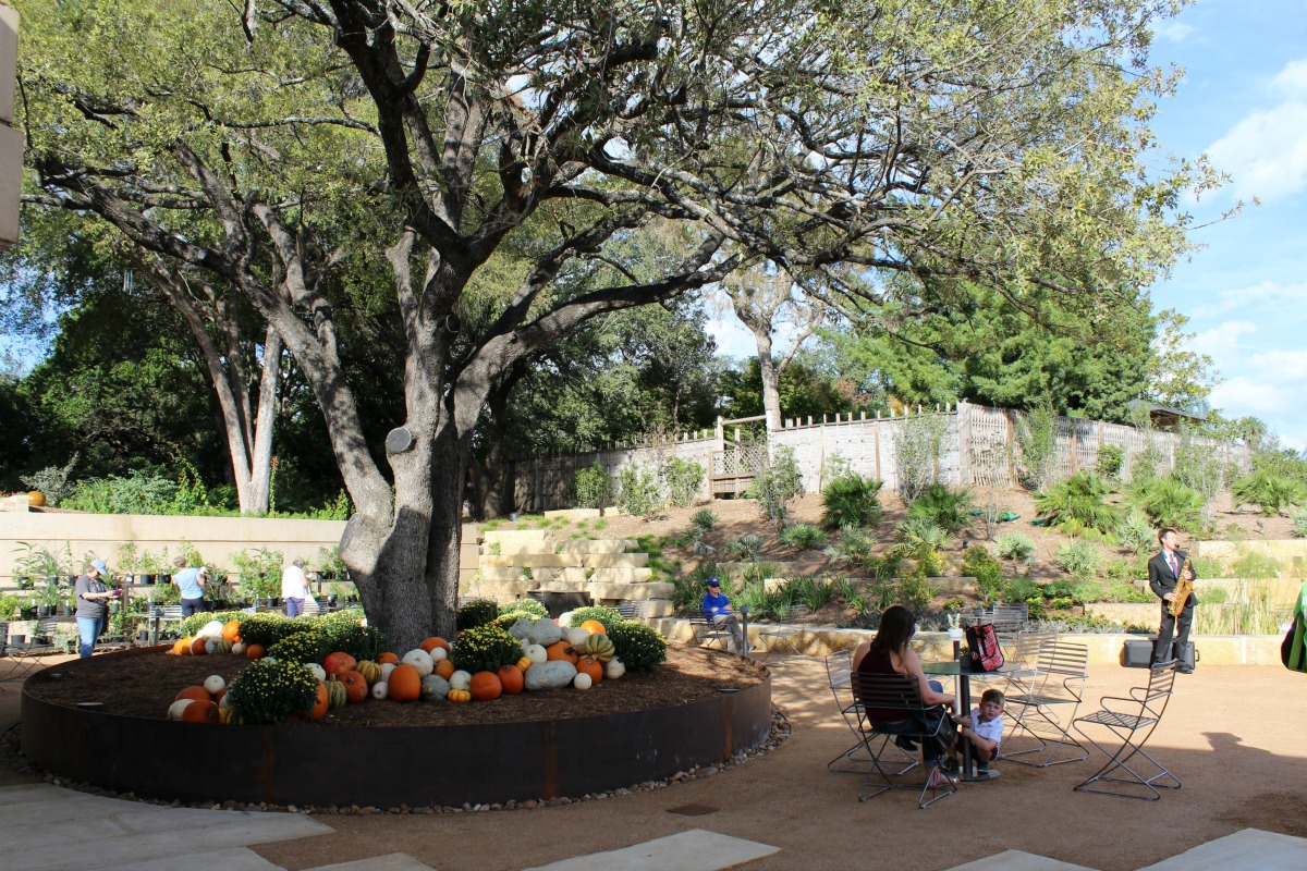 Welcome area at expanded San Antonio Botanical Garden | San Antonio Charter Moms