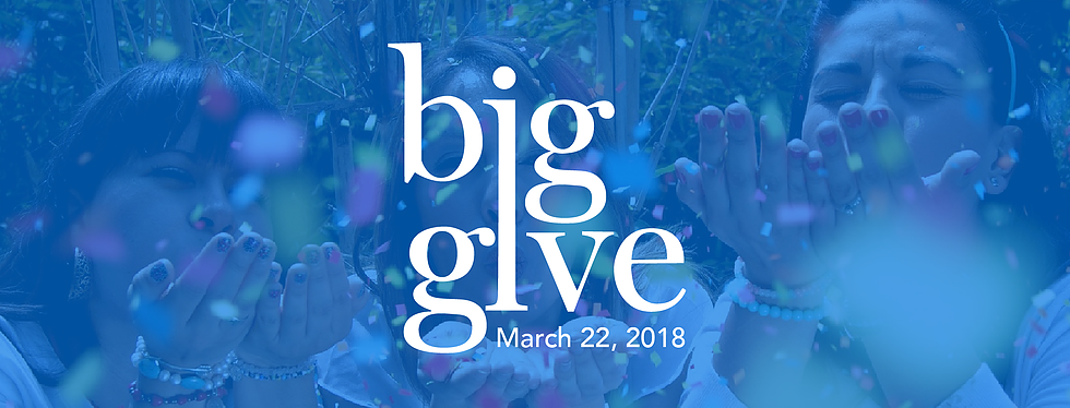 Big Give San Antonio 2018 | San Antonio Charter Moms