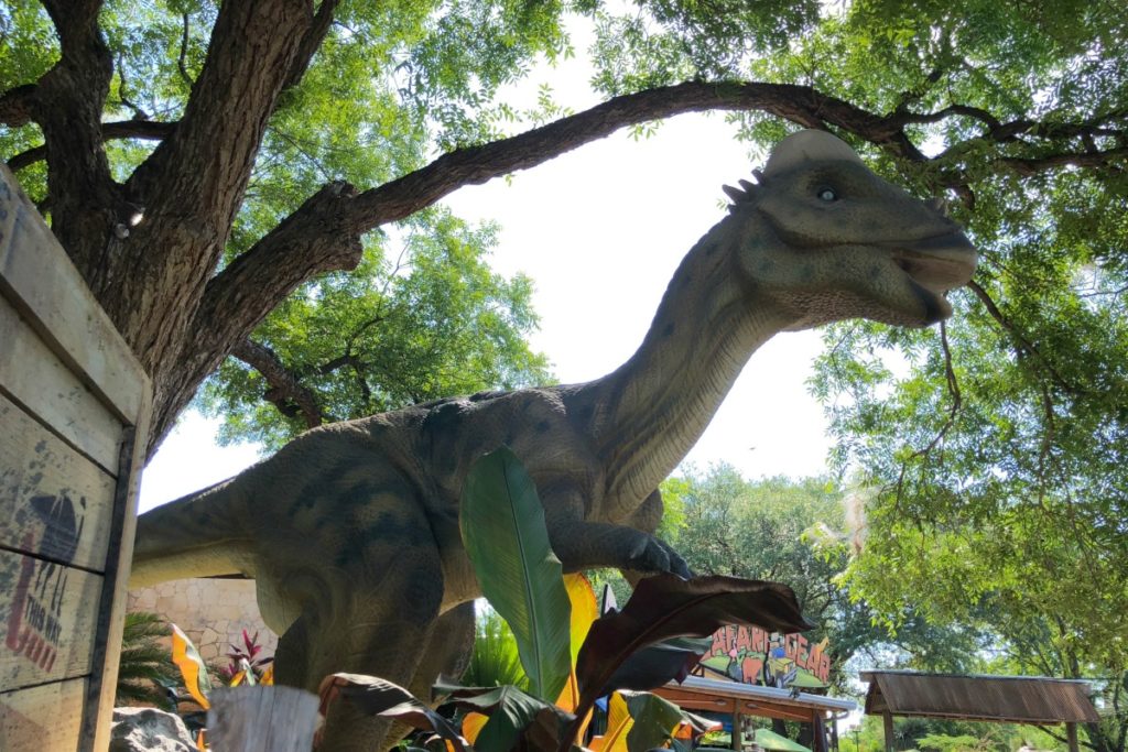Pachycephalosaurus at Zoorassic Park at the San Antonio Zoo | San Antonio Charter Moms