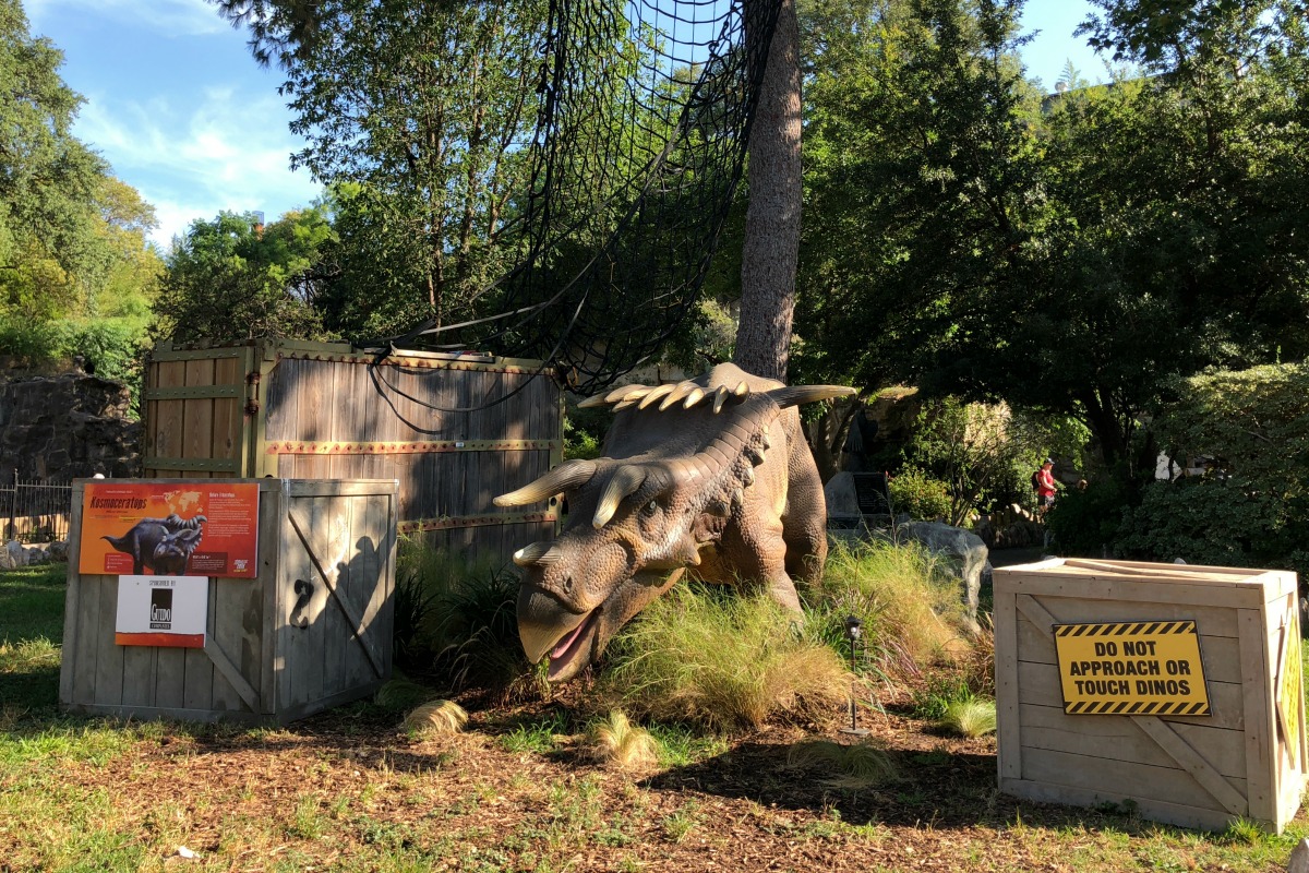 Kosmoceratops at Zoorassic Park at the San Antonio Zoo | San Antonio Charter Moms