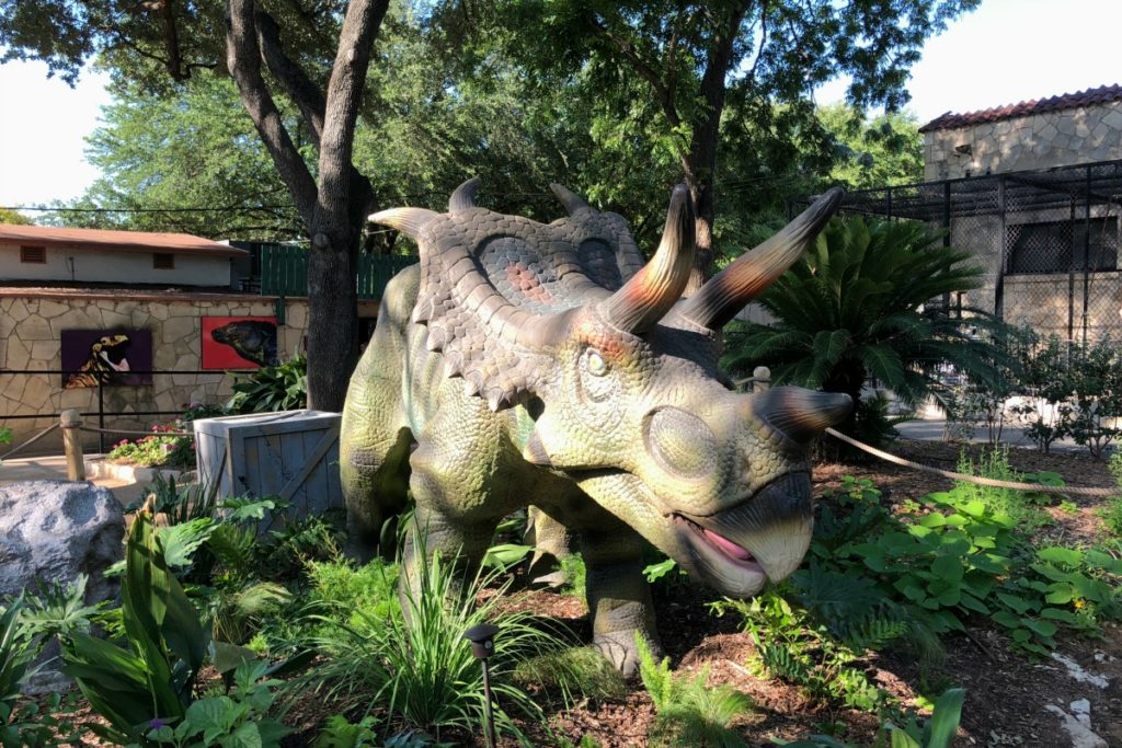 Mojoceratops at Zoorassic Park at the San Antonio Zoo | San Antonio Charter Moms