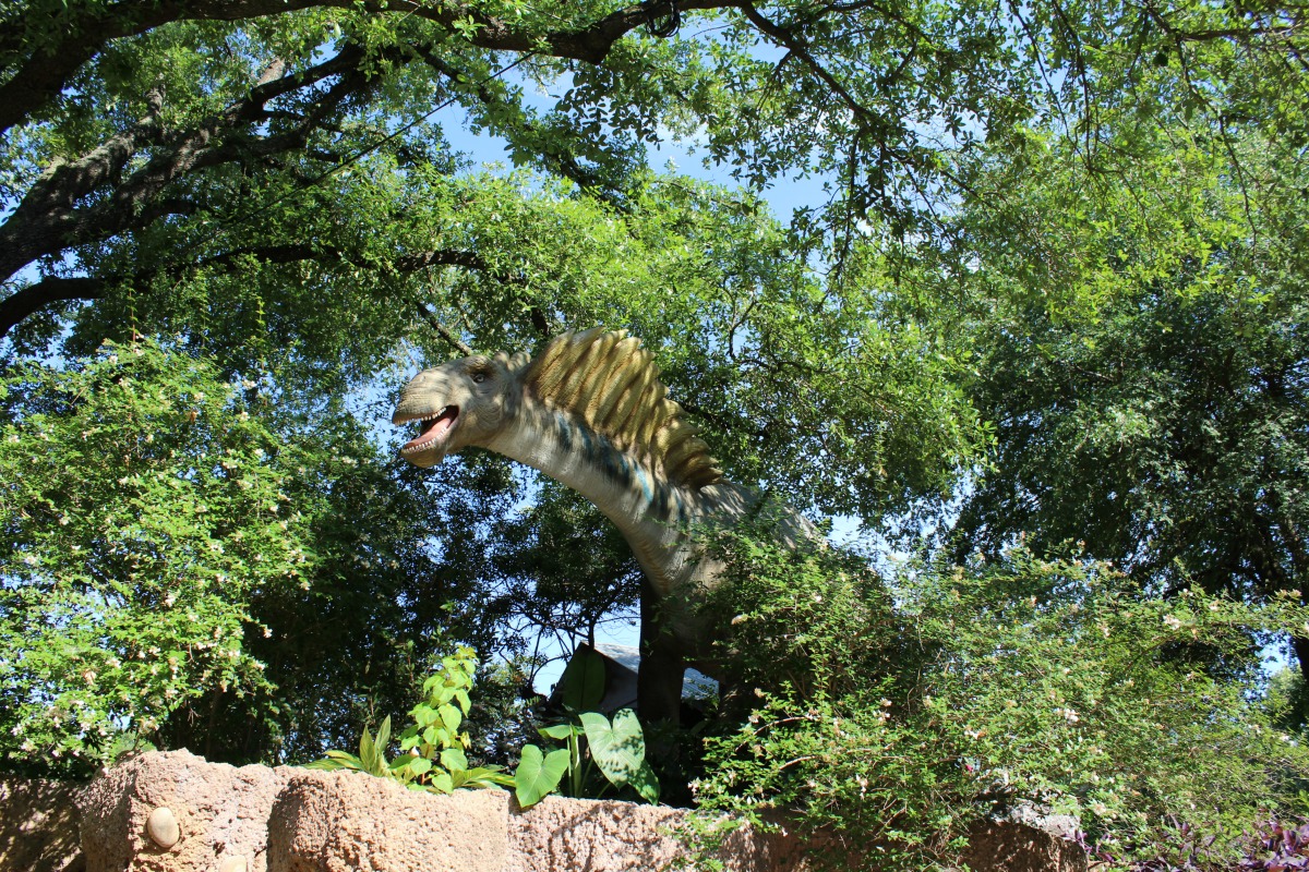 Amargasaurus at Zoorassic Park at the San Antonio Zoo | San Antonio Charter Moms