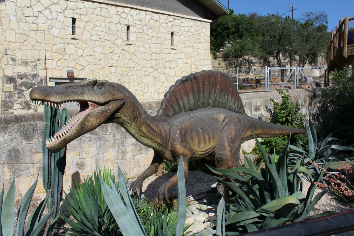 Spinosaurus at Zoorassic Park at the San Antonio Zoo | San Antonio Charter Moms