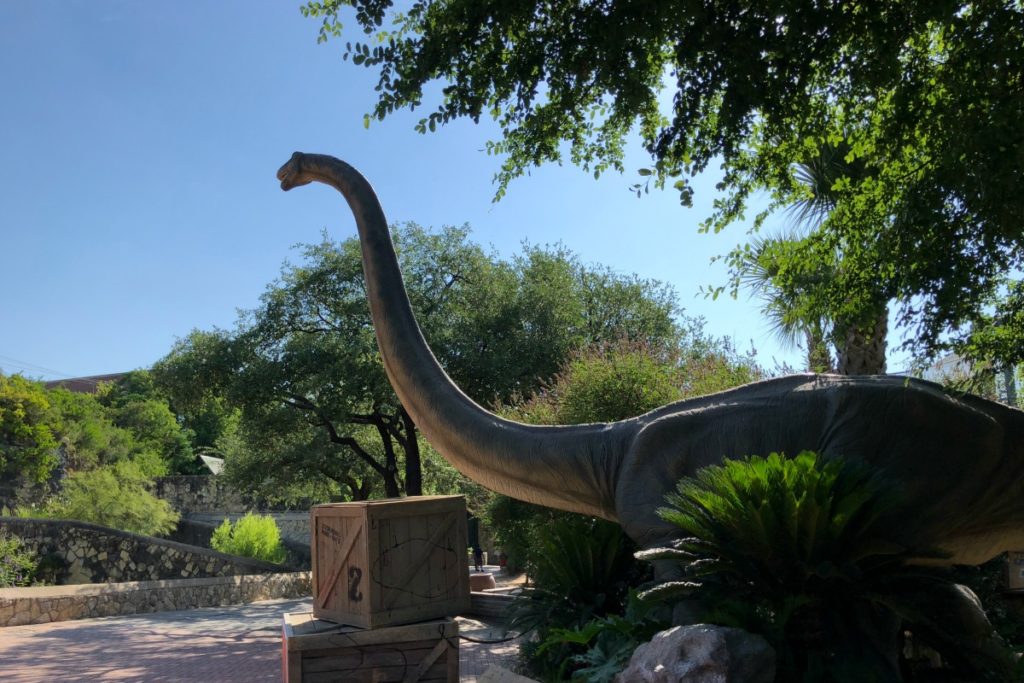 Omeisaurus at Zoorassic Park at the San Antonio Zoo | San Antonio Charter Moms