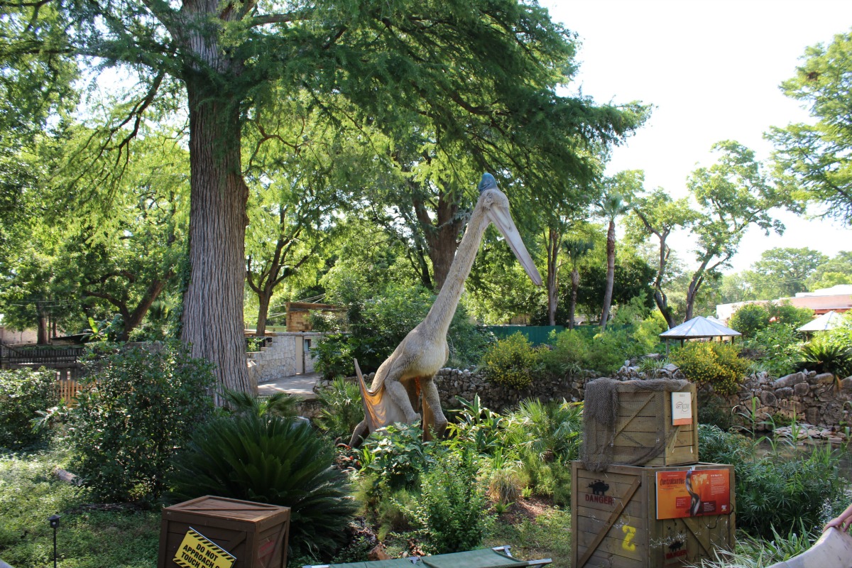 Quetzalcoatlus at Zoorassic Park at the San Antonio Zoo | San Antonio Charter Moms