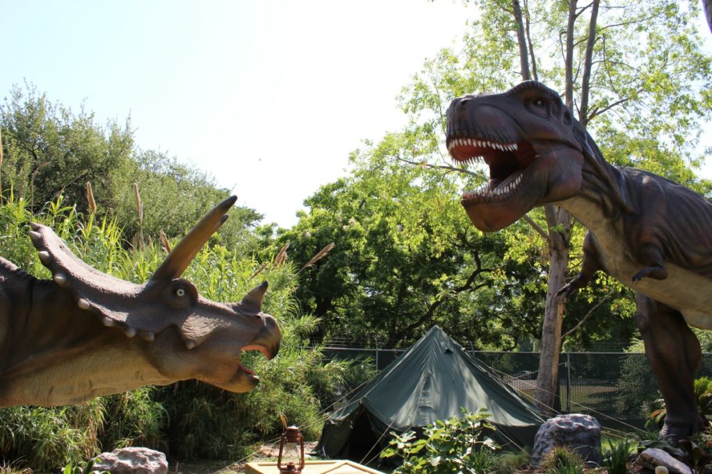 Triceratops and Tyrannosaurus Rex at Zoorassic Park at the San Antonio Zoo | San Antonio Charter Moms