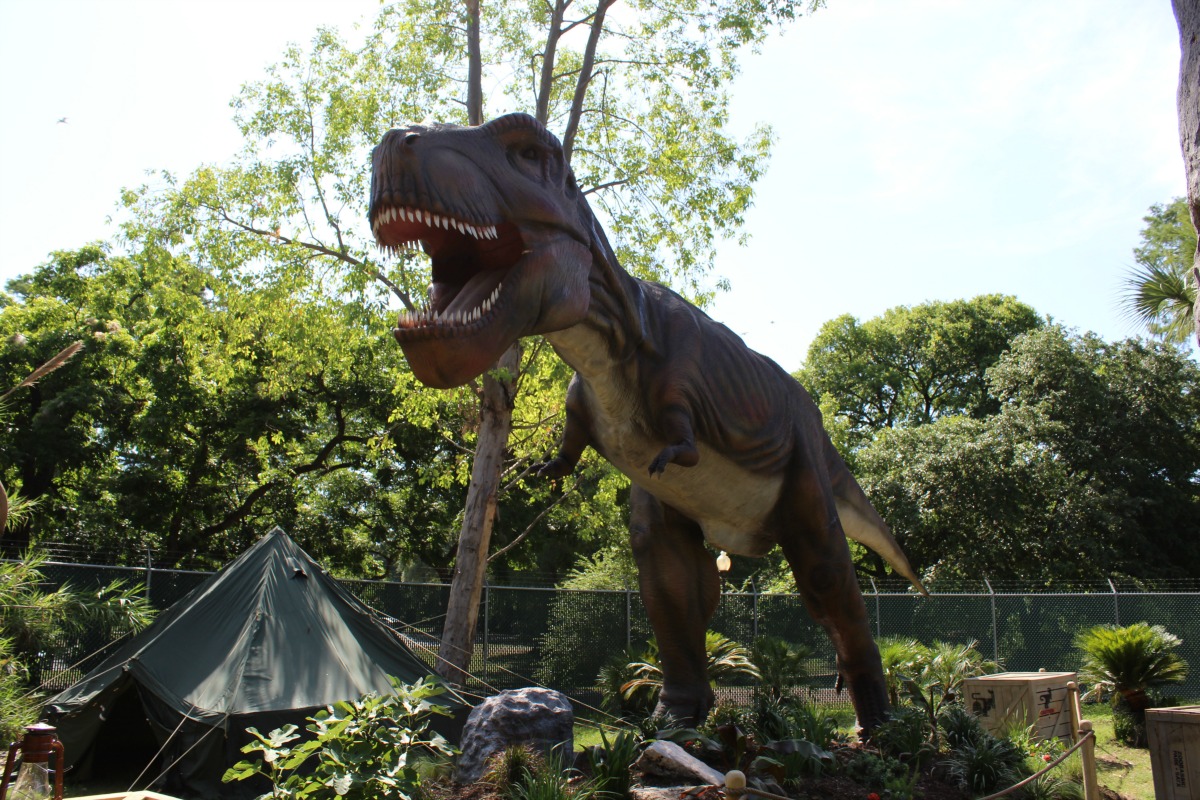 Tyrannosaurus Rex at Zoorassic Park at the San Antonio Zoo | San Antonio Charter Moms