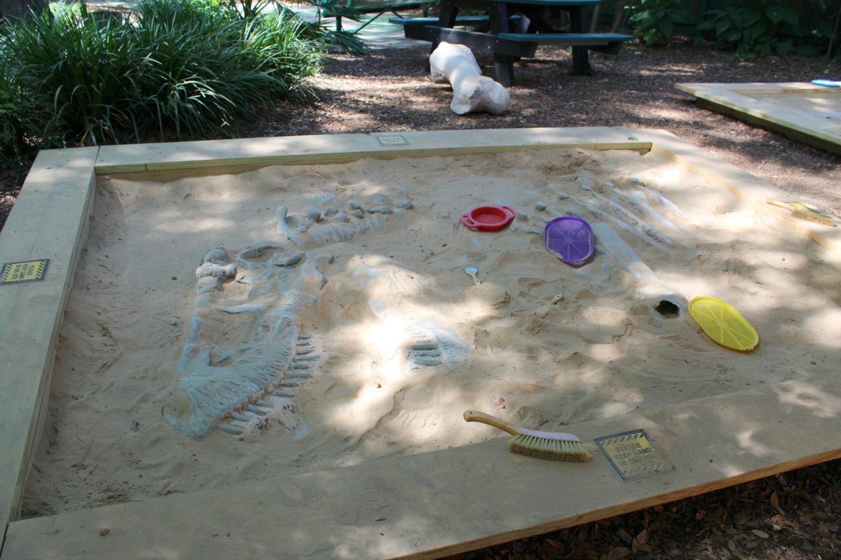 Dig site at Zoorassic Park at the San Antonio Zoo | San Antonio Charter Moms