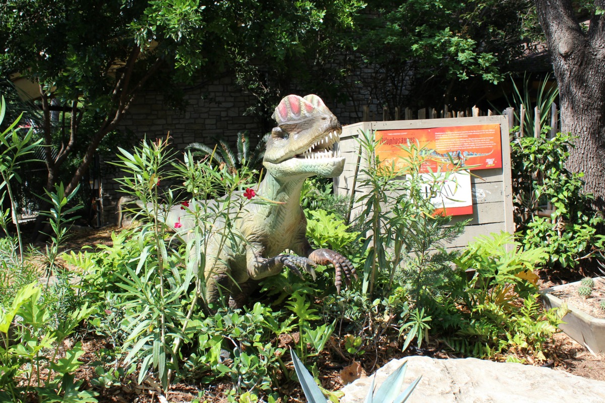 Dilophosaurus at Zoorassic Park at the San Antonio Zoo | San Antonio Charter Moms