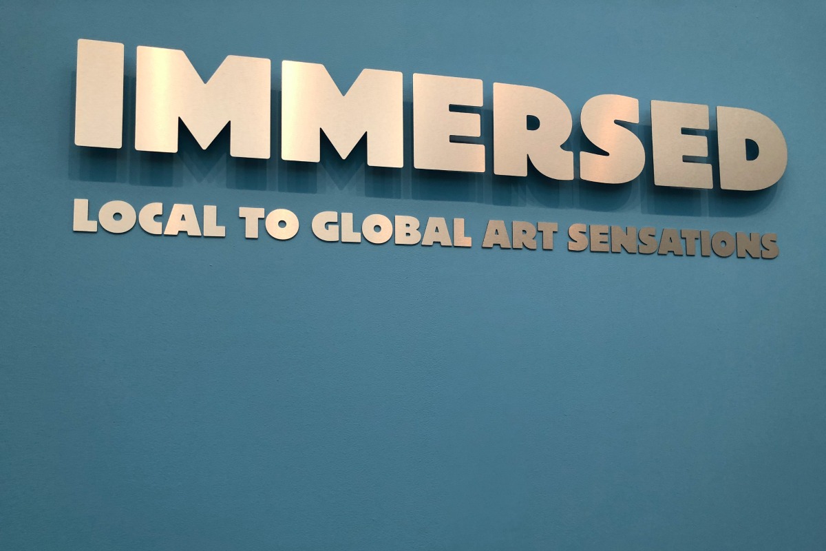 "Immersed: Local to Global Art Sensations" at the McNay Art Museum | San Antonio Charter Moms