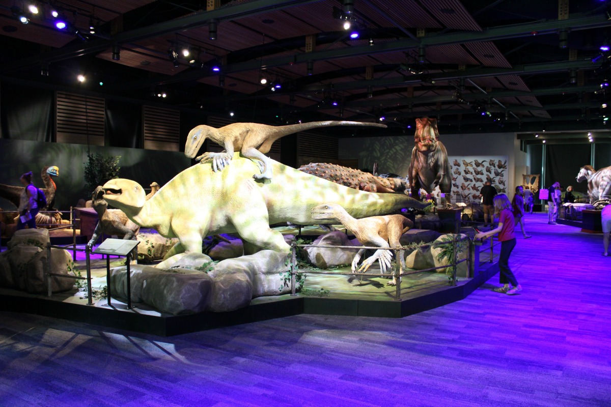 Witte Museum Dinosaurs, "Predators vs. Prey" | San Antonio Charter Moms