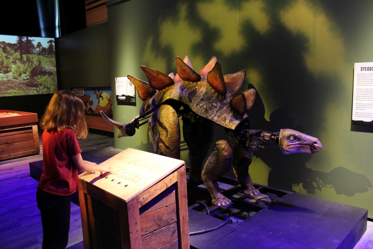 Animatronic Stegosaurus Witte Museum Dinosaurs, "Predators vs. Prey" | San Antonio Charter Moms