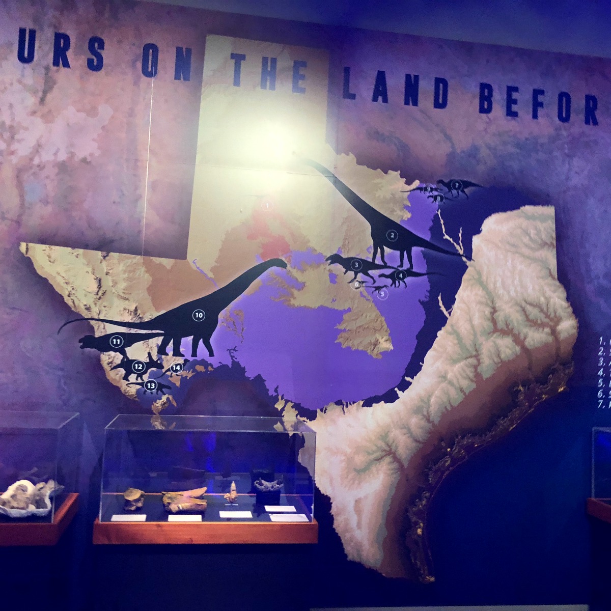 Map of Texas during the age of dinosaurs at Witte Museum, "Predators vs. Prey" | San Antonio Charter Moms