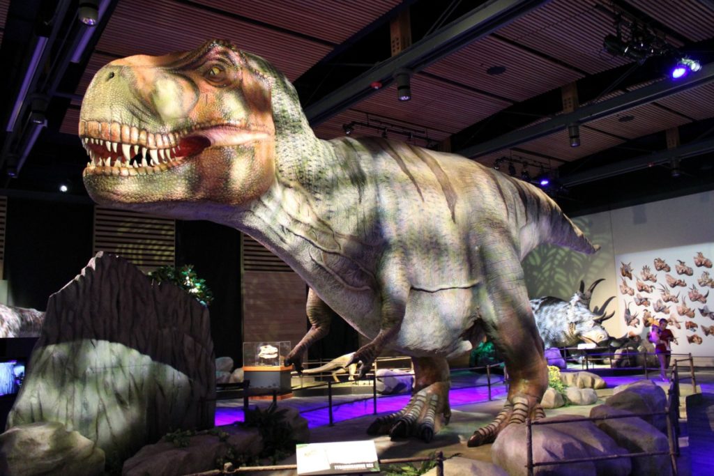 Tyrranosaurus Rex at Witte Museum Dinosaurs, "Predators vs. Prey" | San Antonio Charter Moms