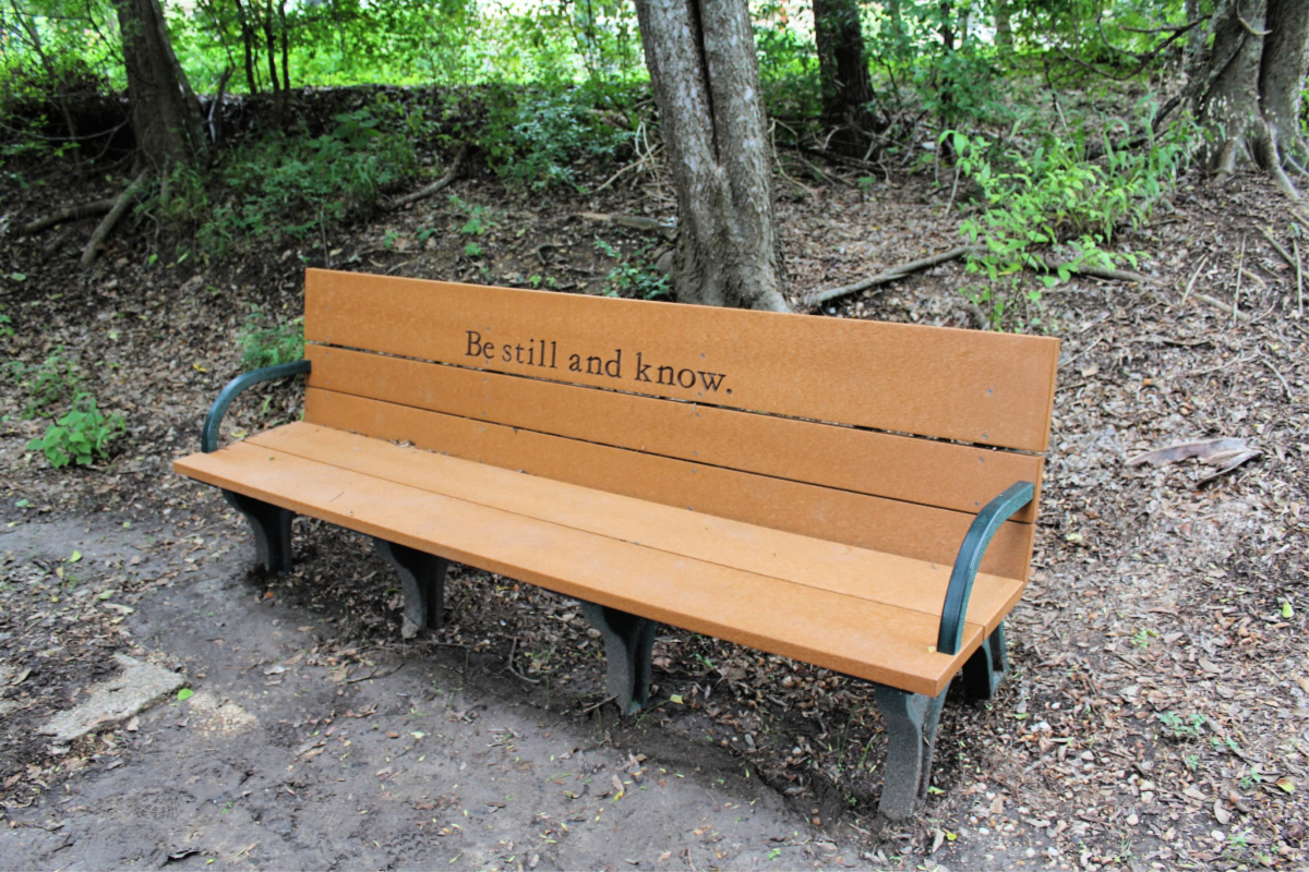 "Be still and know." Bench near the Blue Hole, San Antonio Springs, source of the San Antonio River | San Antonio Charter Moms