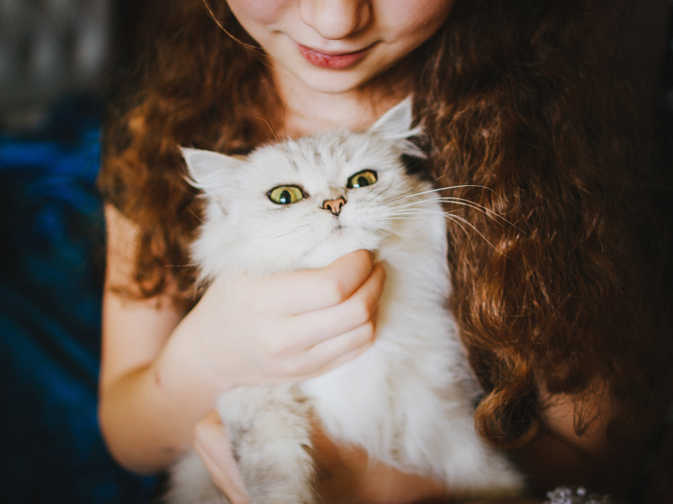 girl with long hair holding white cat