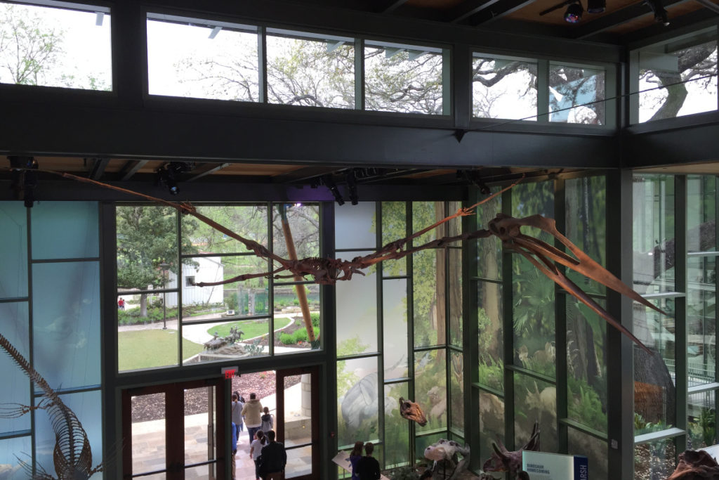 San Antonio Children's Museum and Science Center Reciprocal Membership Benefits - Quetzalcoatlus skeleton at Witte Museum | San Antonio Charter Moms