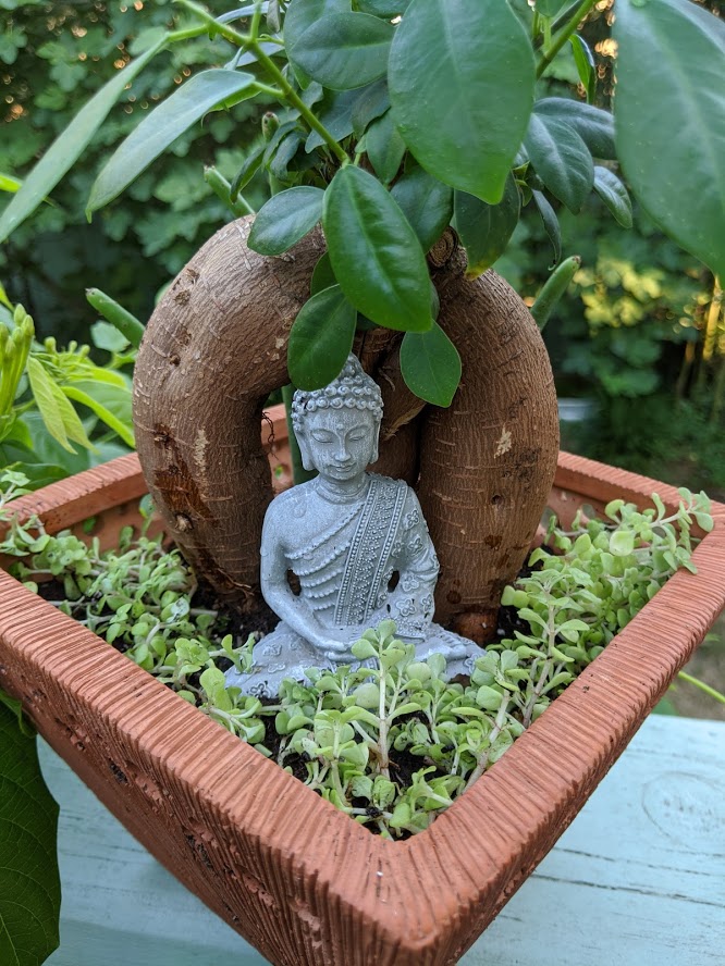 Buddha mini garden Photo credit Iris Gonzalez