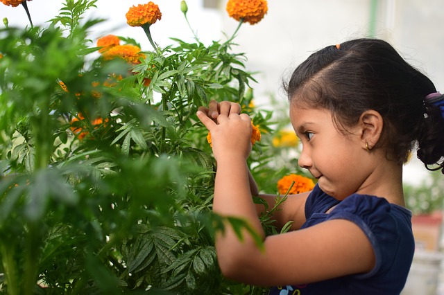 girl picking a flower learning a new language summer