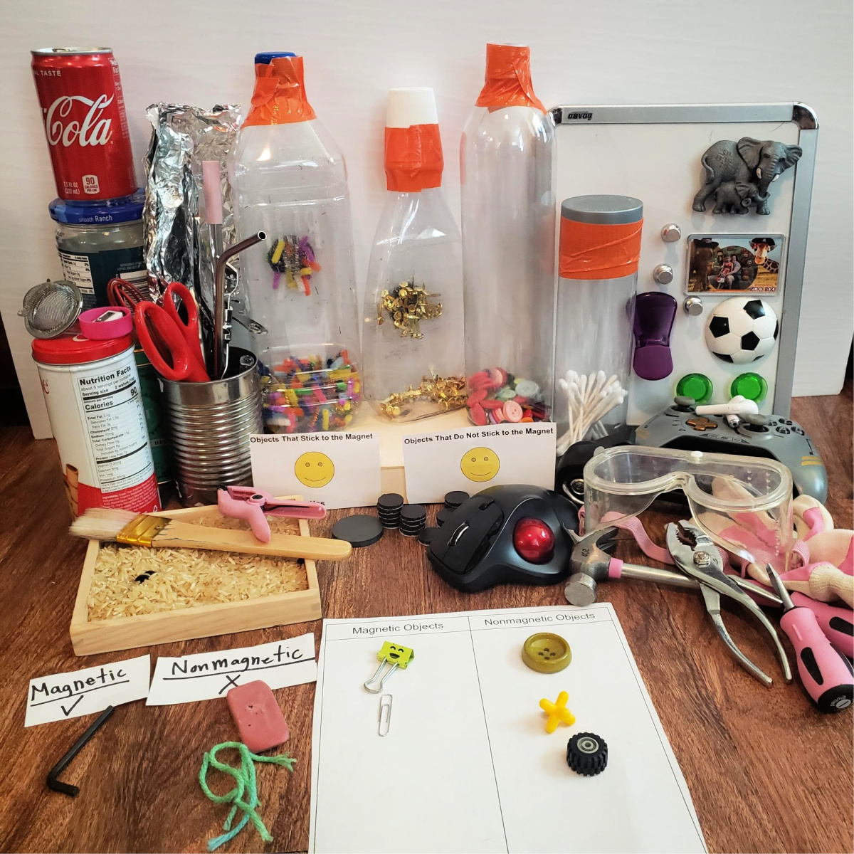 materials for exploring magnetism activity learning at home with kids