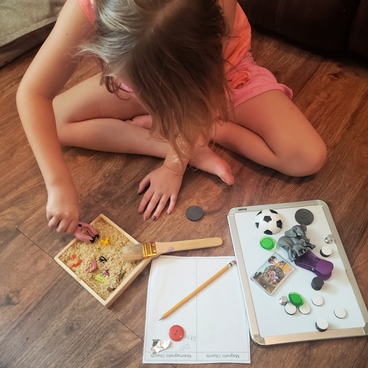 exploring magnetism science projects at home