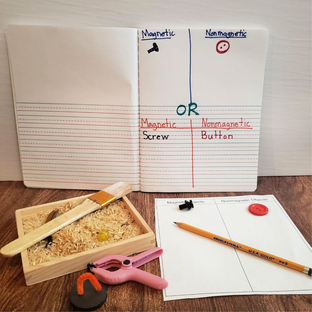 exploring magnetism activity for Lower Grade Schoolers research magnetism