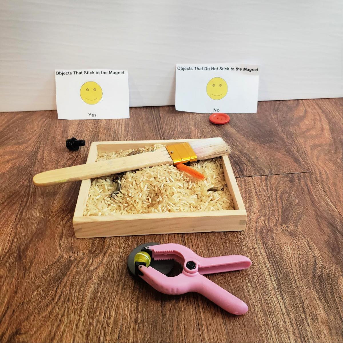 exploring magnetism activity for preschoolers developing questions about magnetism