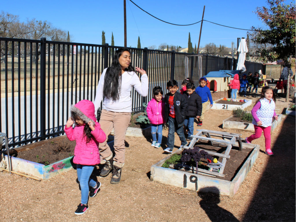 Garden at Pre-K 4 SA North Education Center on January 24, 2018 prek4sa San Antonio preschool