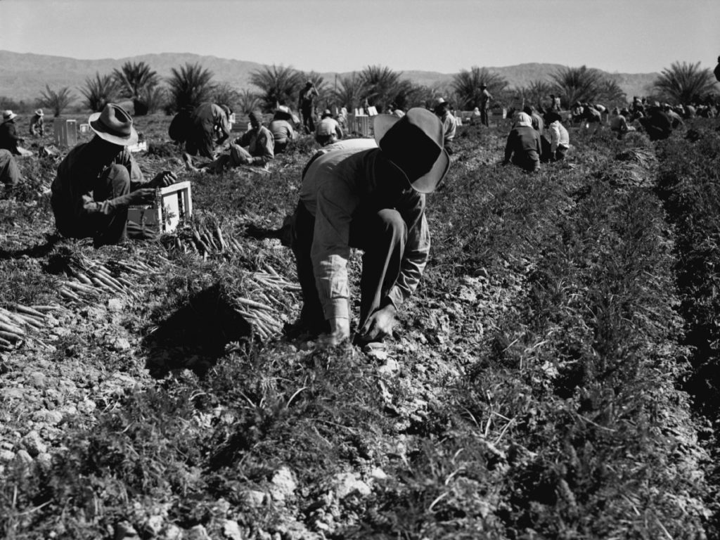 historical photo of migrant farm workers to illustrate a story about the purpose of education for upward mobility