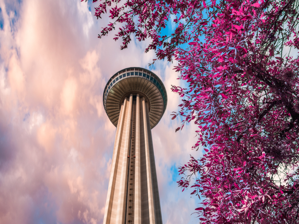 view tower of americas in san antonio with blue sky and spring flowers