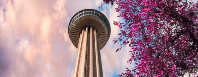 view tower of americas in san antonio with blue sky and spring flowers