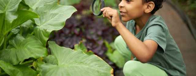 young boy looking at plants with magnifying glass | nature based education