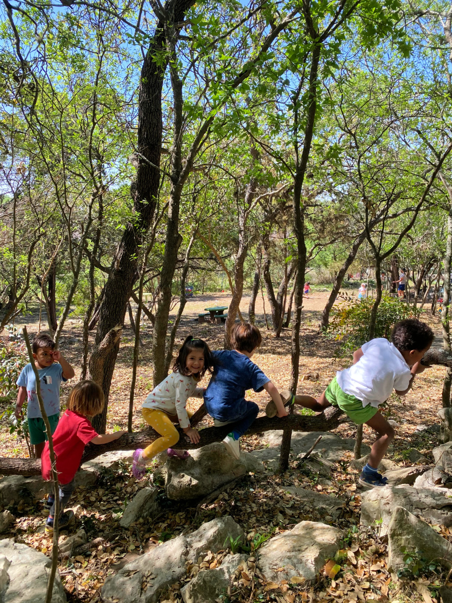 climbing trees JOY Holistic Education play based learning