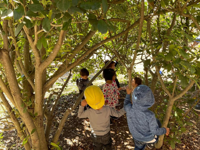 outdoor learning JOY Holistic Education play based learning - San ...