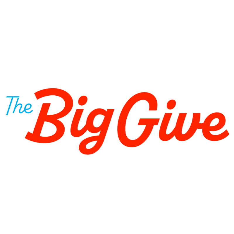 Big Give word mark logo