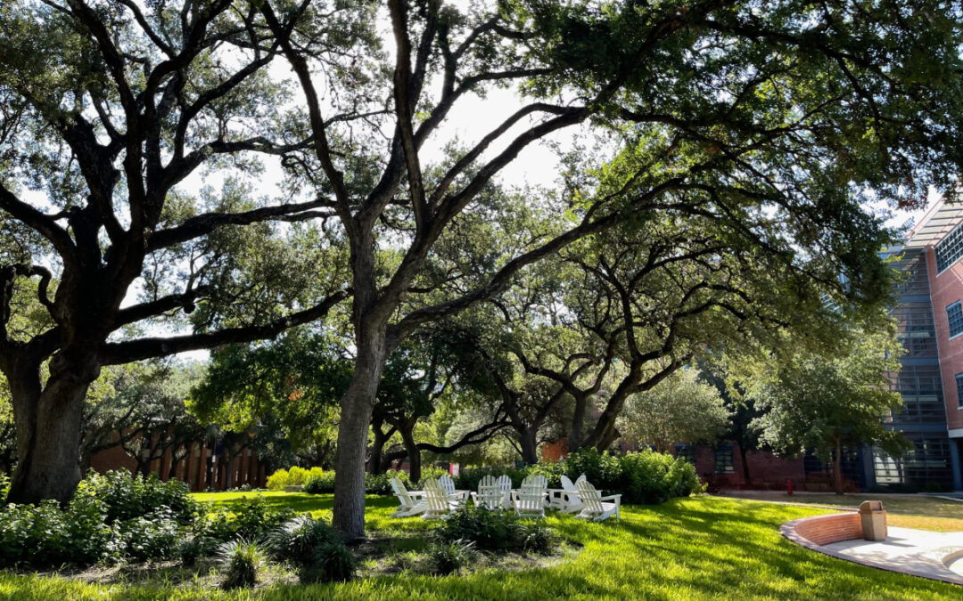 San Antonio College Tours and University Visits: A Guide for Families